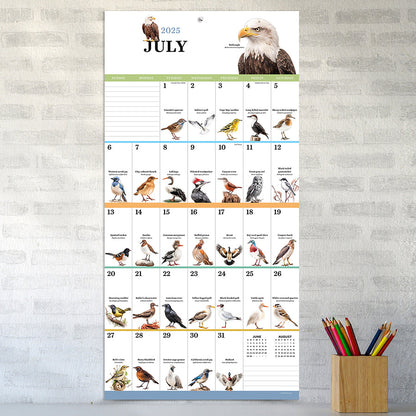 2025 Birds: Backyard and Beyond Wall Calendar