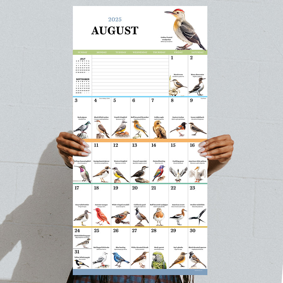 2025 Birds: Backyard and Beyond Wall Calendar