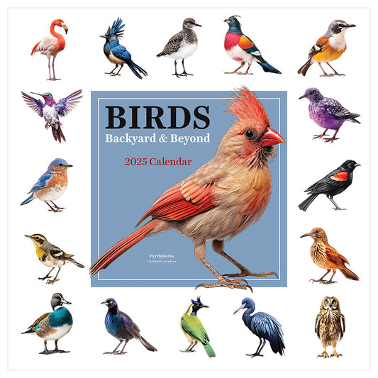 2025 Birds: Backyard and Beyond Wall Calendar