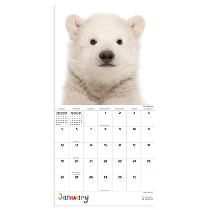 2025 Baby Animals Mini Calendar