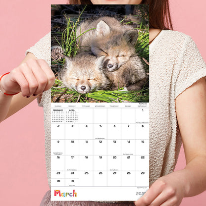 2025 Baby Animals Mini Calendar