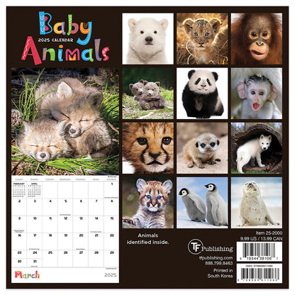 2025 Baby Animals Mini Calendar