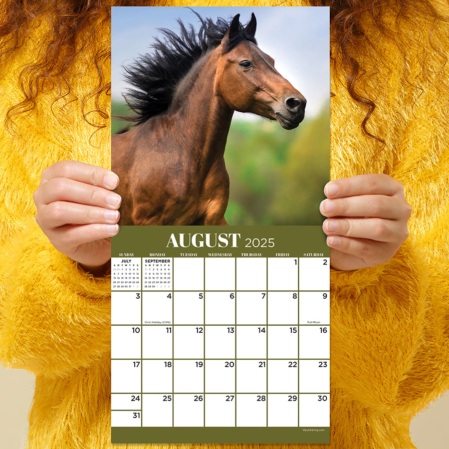 2025 Horses Mini Calendar