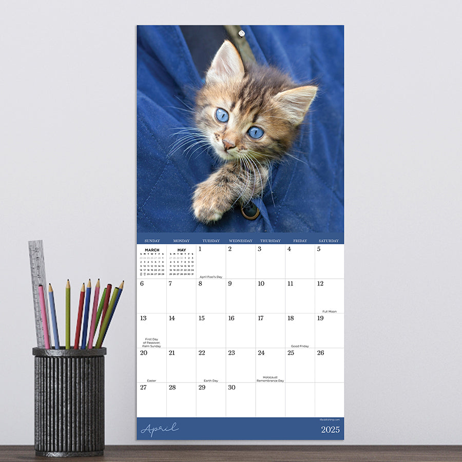 2025 Kittens Mini Calendar