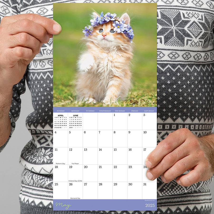 2025 Kittens Mini Calendar