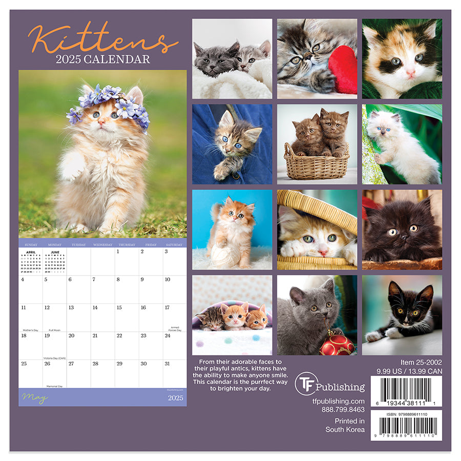 2025 Kittens Mini Calendar