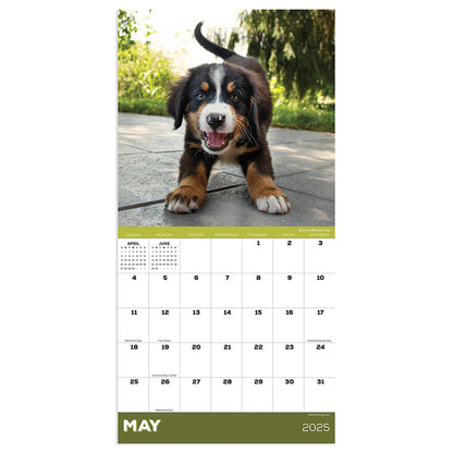 2025 Puppies Mini Calendar