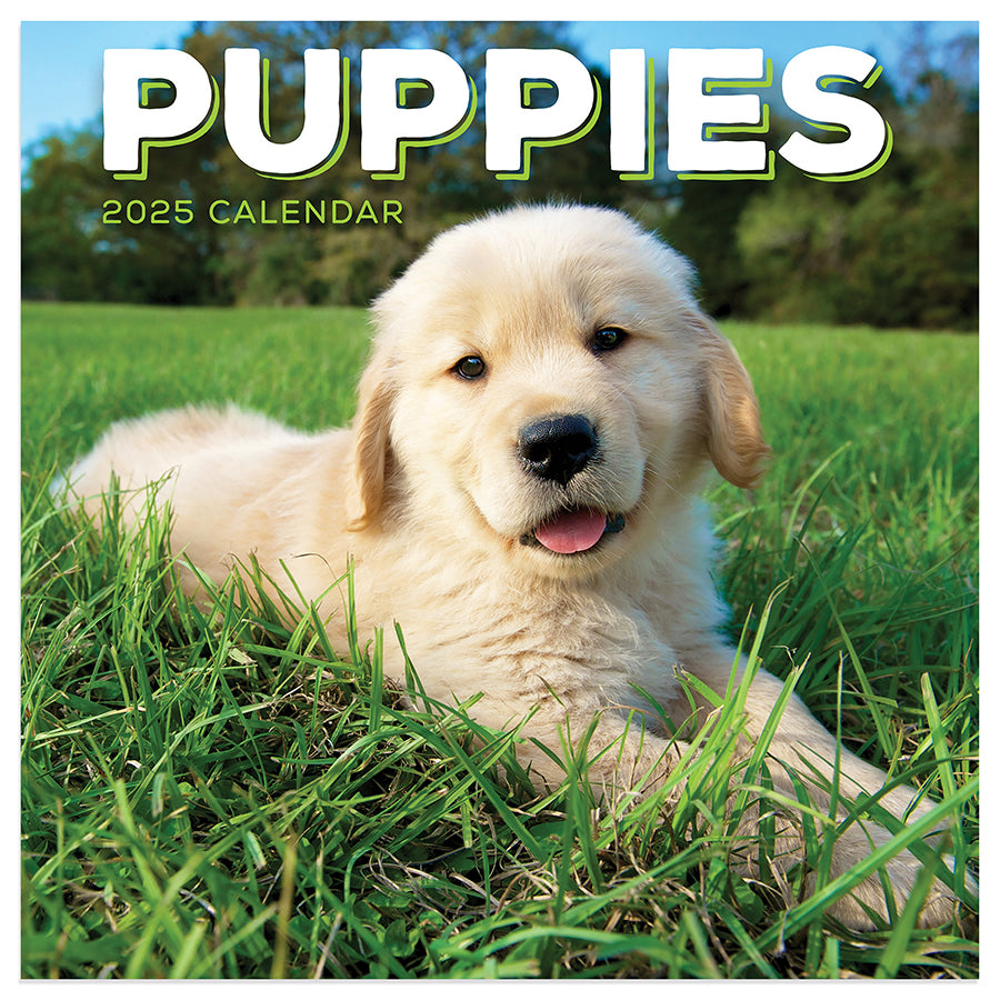 2025 Puppies Mini Calendar