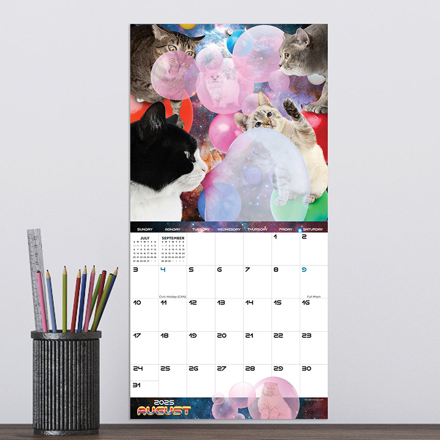 2025 Space Cats Mini Calendar