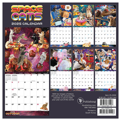 2025 Space Cats Mini Calendar