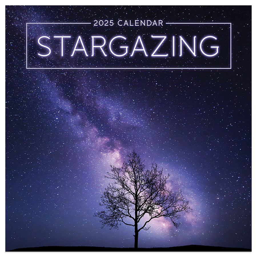 2025 Stargazing Mini Calendar