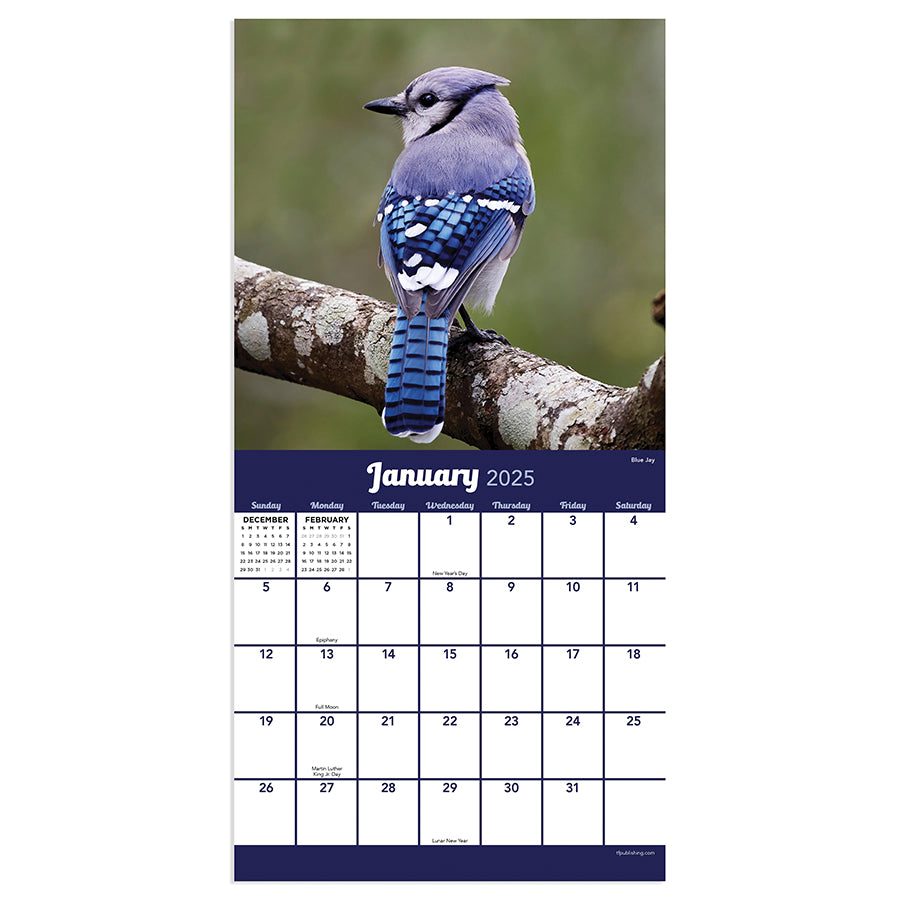 2025 Backyard Birds Mini Calendar