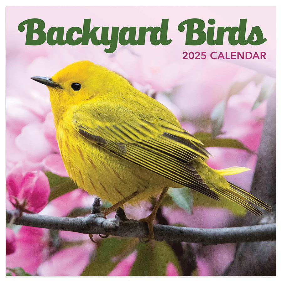 2025 Backyard Birds Mini Calendar