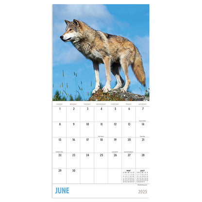 2025 Wolves Mini Calendar