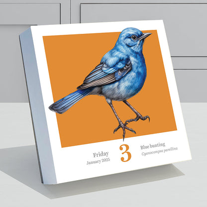 2025 Birds: Backyard & Beyond Daily Desktop Calendar