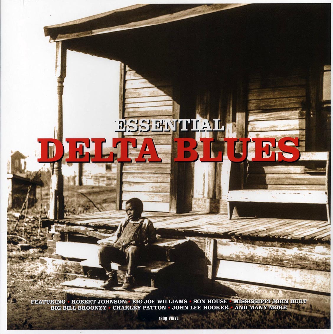 Robert Johnson, Big Joe Williams, Son House, Etc. - Essential Delta Blues (180g)