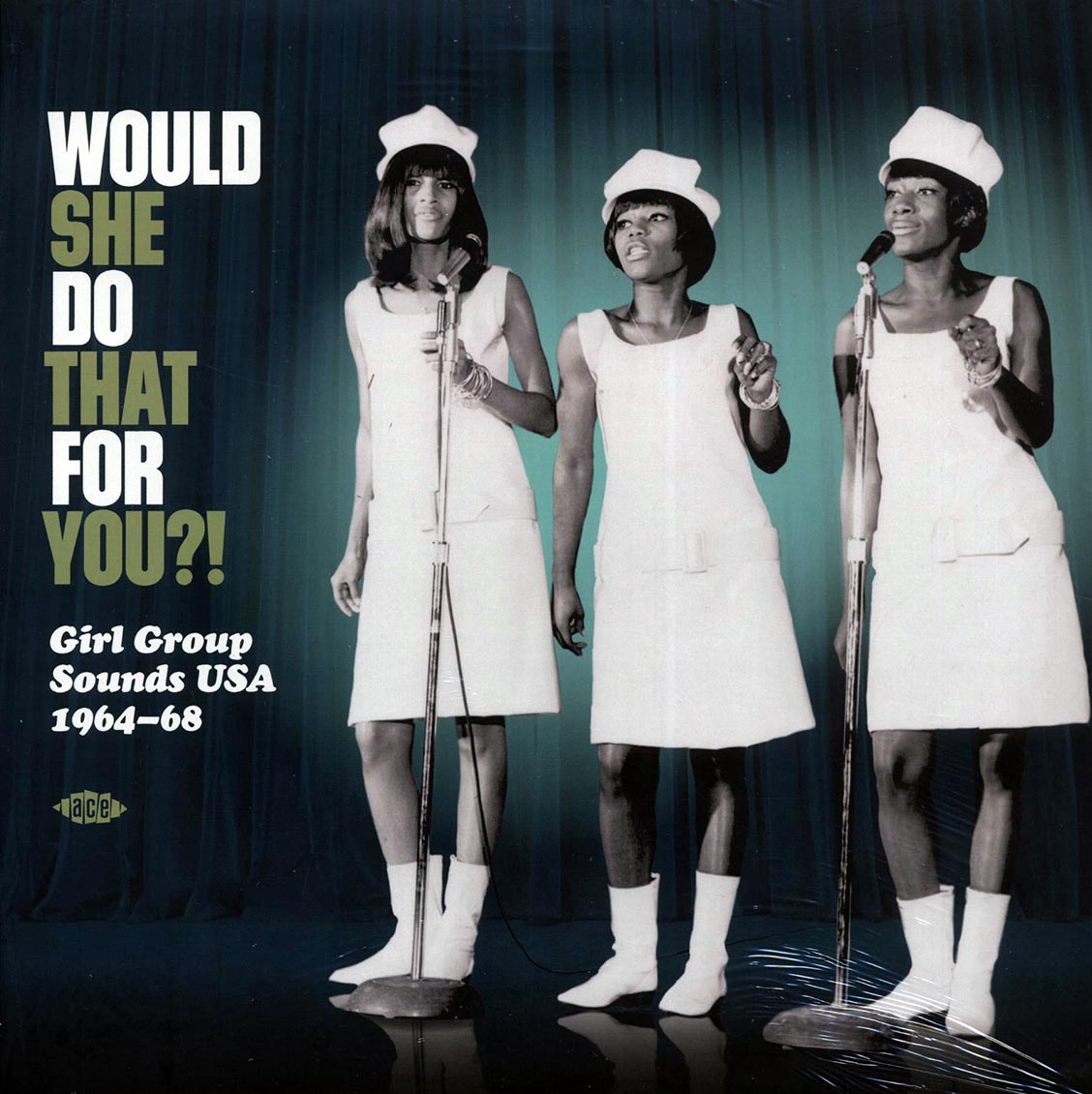 Tanya Marie, The Ikettes, The Fashionettes, The Puffs, Etc. - Would She Do That For You? Girl Group Sounds USA 1964-68