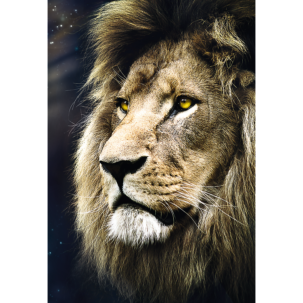 1500 Piece Jigsaw Puzzle, Lion's Portrait, Wild Animal Puzzles, Big Cat Puzzles, Adult Puzzles, Trefl 26139