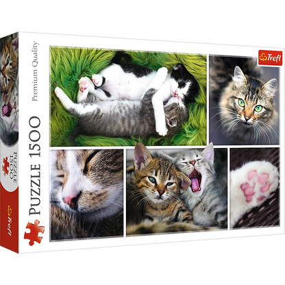 1500 Piece Jigsaw Puzzle, Just Cat Things Collage, Pets, Cats and Kittens, Animal Collage, Adult Puzzles, Trefl 26145