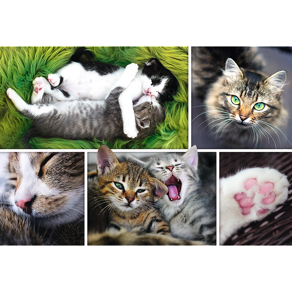 1500 Piece Jigsaw Puzzle, Just Cat Things Collage, Pets, Cats and Kittens, Animal Collage, Adult Puzzles, Trefl 26145