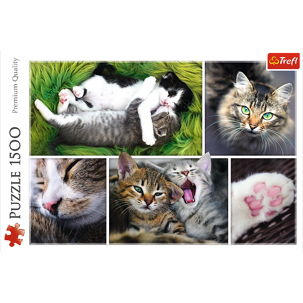 1500 Piece Jigsaw Puzzle, Just Cat Things Collage, Pets, Cats and Kittens, Animal Collage, Adult Puzzles, Trefl 26145