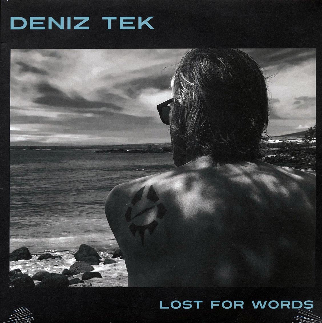 Deniz Tek - Lost For Words (incl. mp3) (180g)