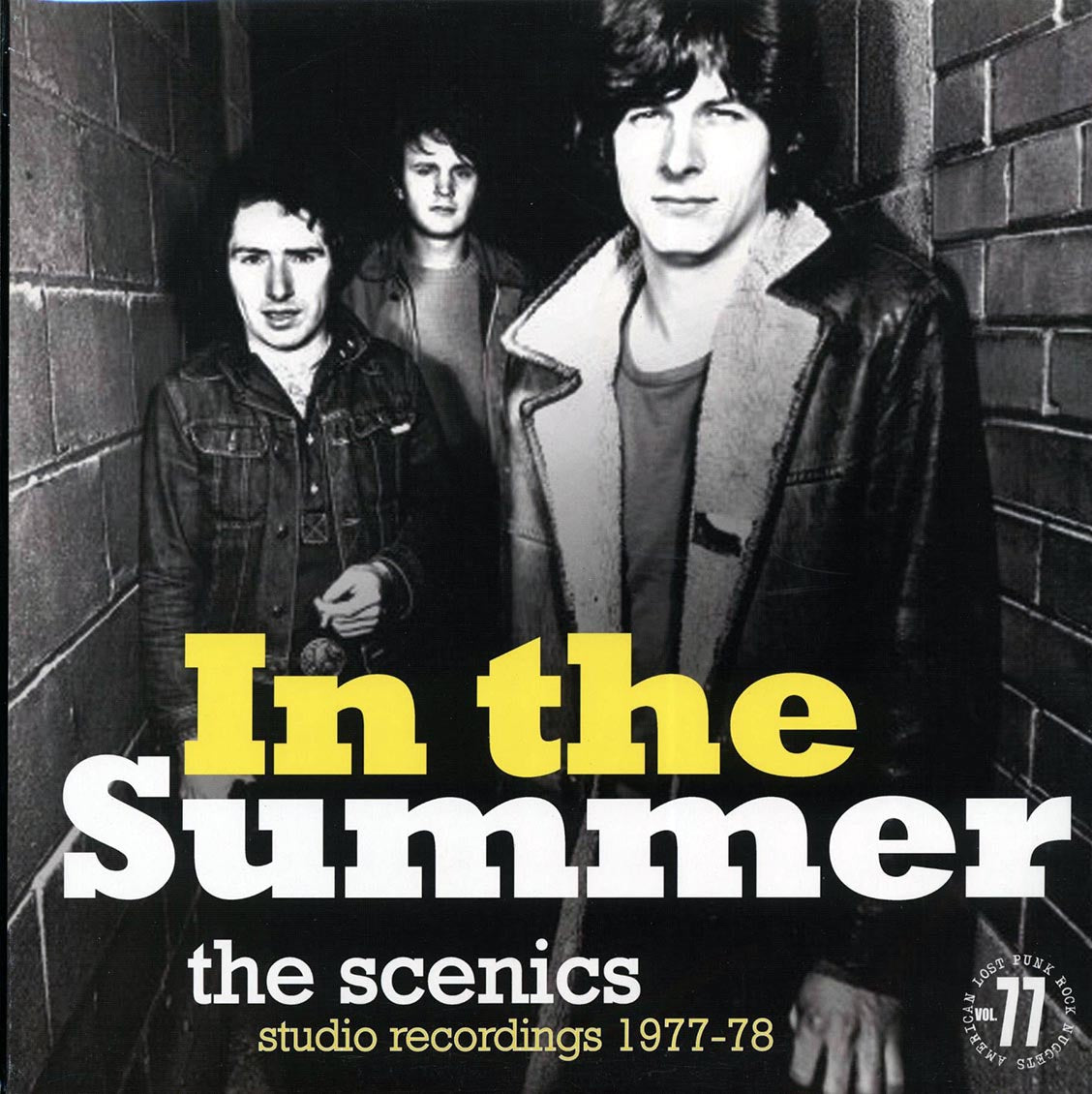 The Scenics - In The Summer: Studio Recordings 1977-78