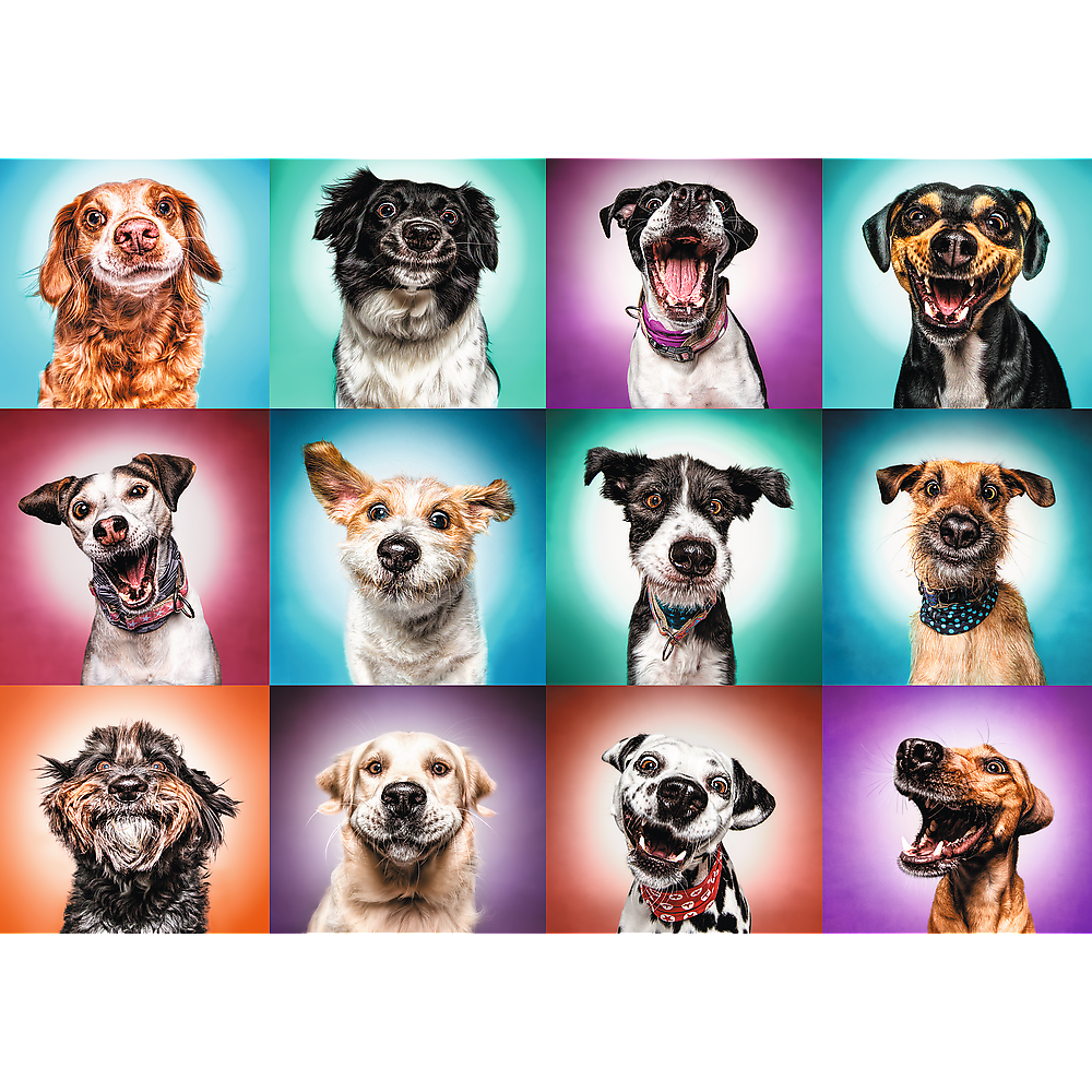 2000 piece Jigsaw Puzzles - Funny dog portraits II, Pets Puzzle, Adult Puzzles, Trefl 27119