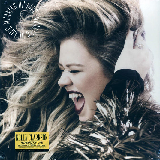 Kelly Clarkson - Meaning Of Life (incl. mp3)