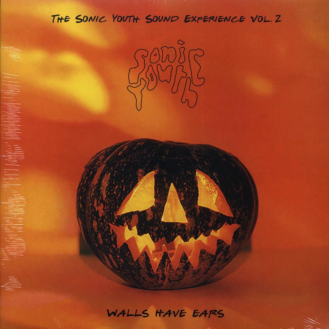 Sonic Youth - Walls Have Ears Volume 2: The Sonic Youth Sound Experience