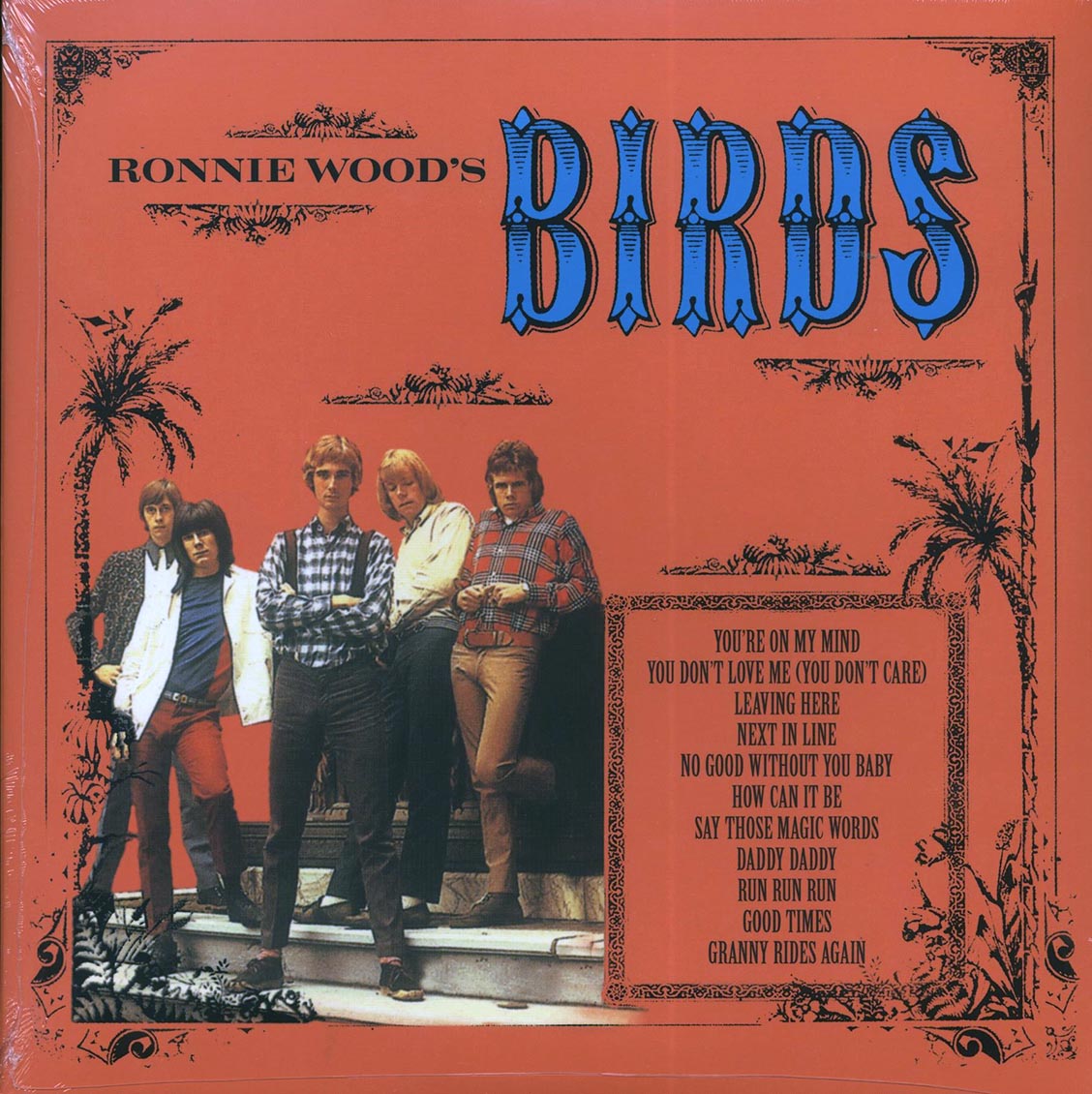 The Birds - The Birds (Ronnie Woods' The Birds)