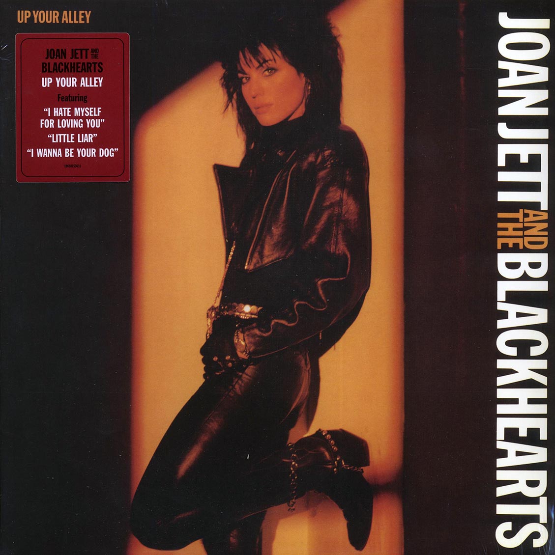 Joan Jett & The Blackhearts - Up Your Alley