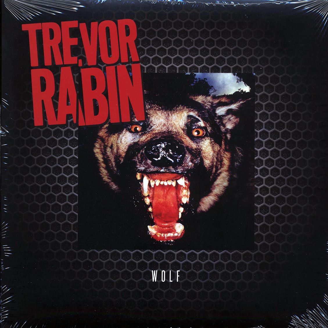 Trevor Rabin (Yes) - Wolf