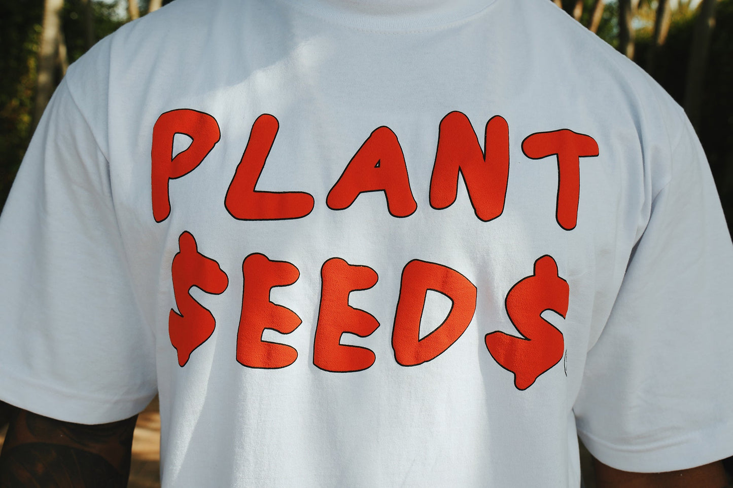 Plant Seeds