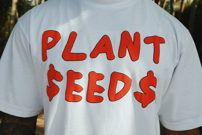 Plant Seeds