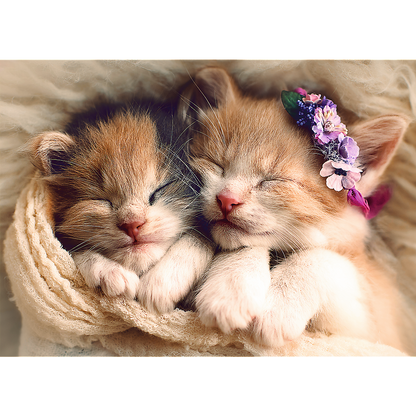 500 Piece Jigsaw Puzzles, Sleeping Kittens, Baby Animals, Pets, Cats, Adult Puzzles, Trefl 37271