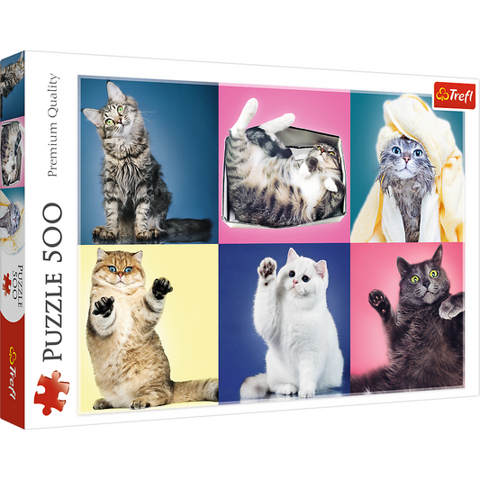 500 Piece Jigsaw Puzzle, Kittens, Silly Pets, Cat Collage, Adult Puzzles, Trefl 37377