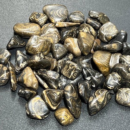 Stromatolite Fossil Tumbled (1 Kilo)(2.2 LBs) Bulk Wholesale Lot Polished