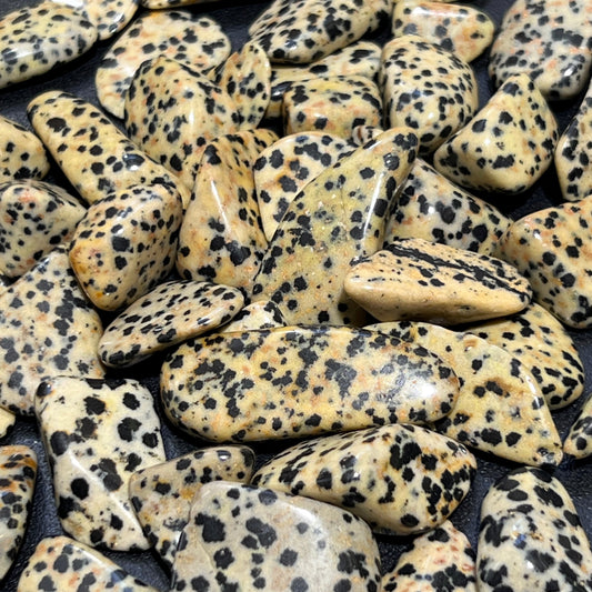 Spotted Dalmatian Jasper Tumbled (1 LB) One Pound Bulk Wholesale Lot Polished Gemstones