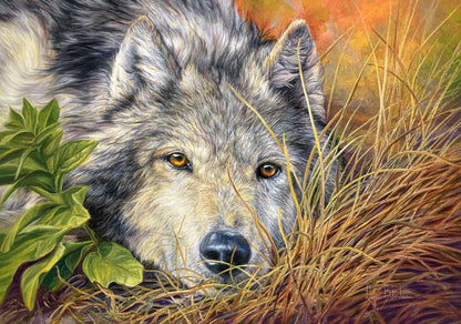 500 Piece Jigsaw Puzzle, Pure Soul, Animal puzzle, Wolf, Nature puzzle, Adult Puzzles, Castorland B-53285