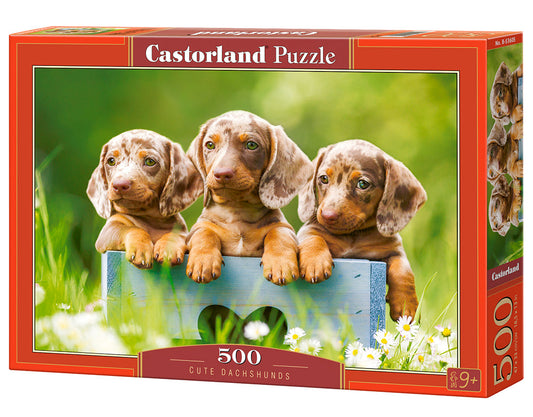 500 Piece Jigsaw Puzzle, Cute Dachshunds, Animal puzzle, Dogs, Puppies, Adult Puzzle, Castorland B-53605