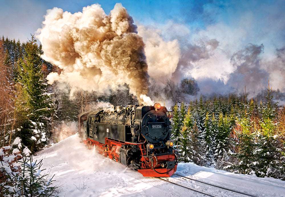 1000 Piece Jigsaw Puzzle, Steam Train, Mountain Train, Locomotive Puzzle, Adult Puzzle, Castorland C-103409-2