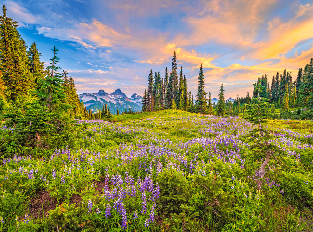 2000 Piece Jigsaw Puzzle, Blossoms of Morning, Landscape puzzles, Meadow, Mountain view, Adult Puzzle, Castorland C-200863-2