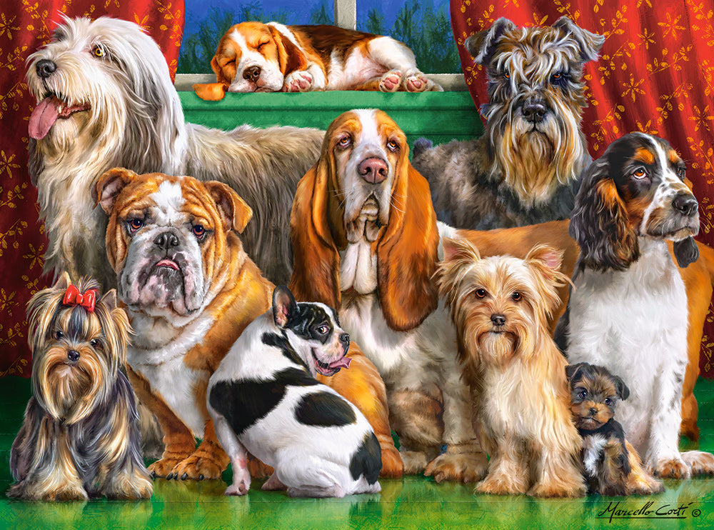 3000 Piece Jigsaw Puzzle, Dog Club, Dog Lovers Puzzle, Animal puzzle, Many Dog Breeds, Adult Puzzle, Castorland C-300501-2