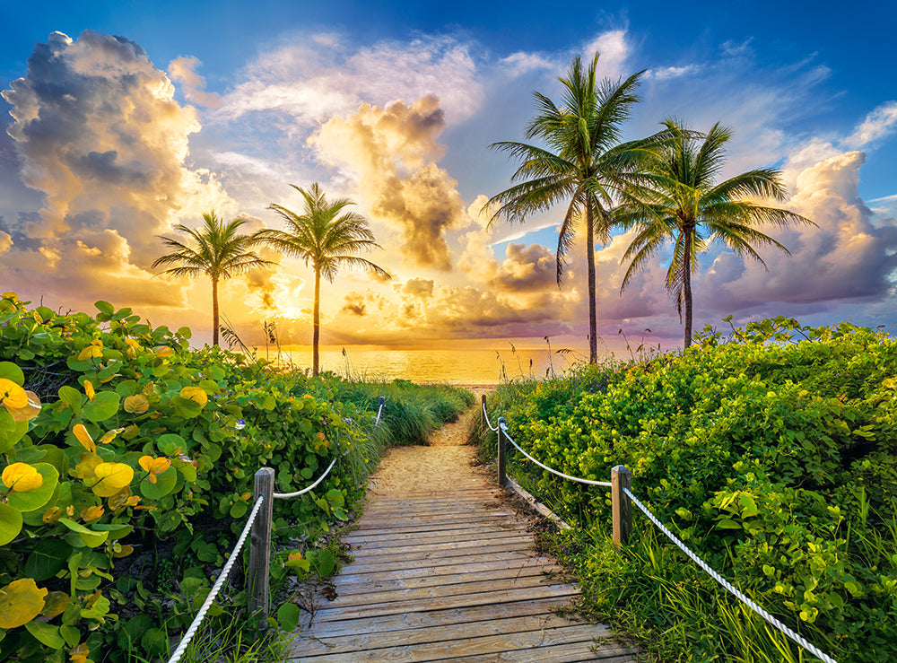 3000 Piece Jigsaw Puzzles, Colorful Sunrise in Miami, USA, Adult Puzzles, Castorland C-300617-2