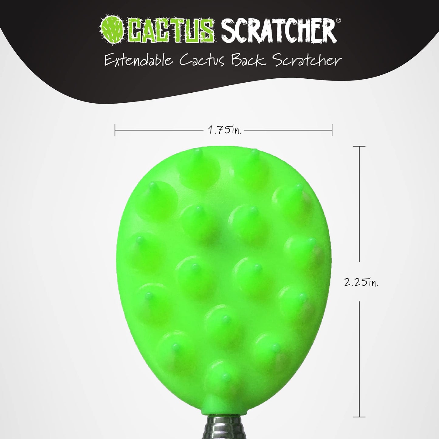 Cactus Back Scratcher