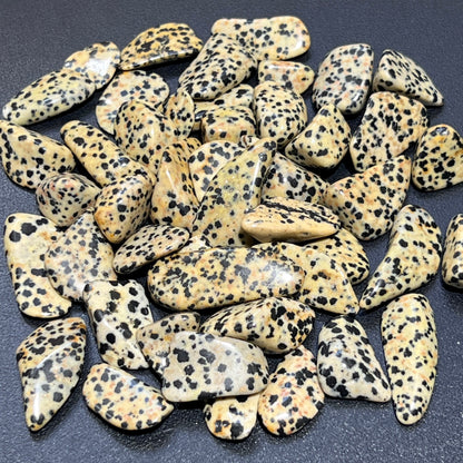 Spotted Dalmatian Jasper Tumbled (1 LB) One Pound Bulk Wholesale Lot Polished Gemstones