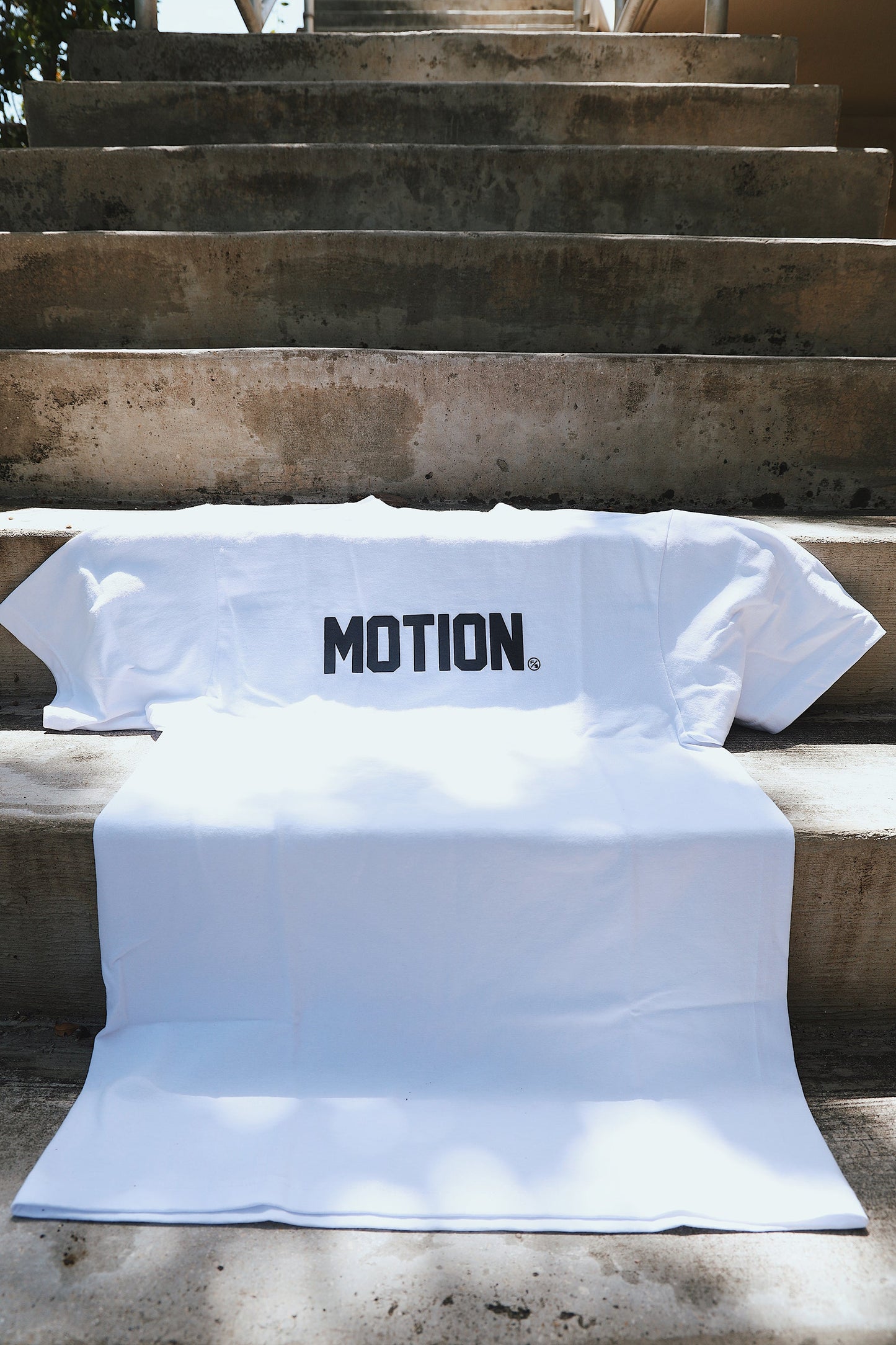 Motion (White)