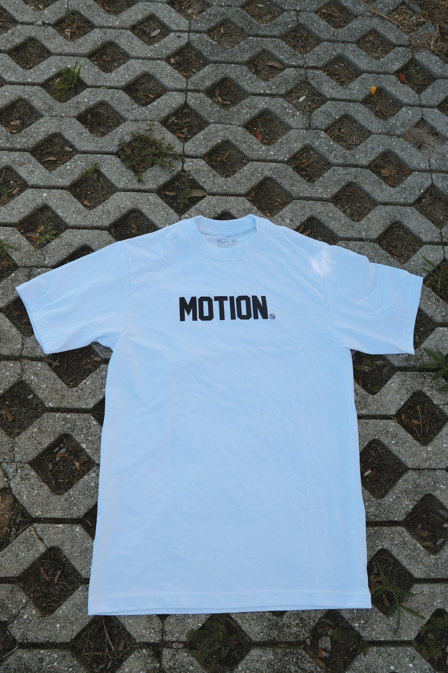 Motion (White)