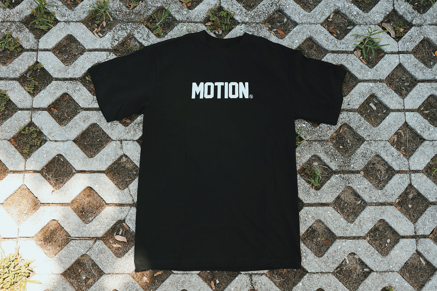 Motion (Black)